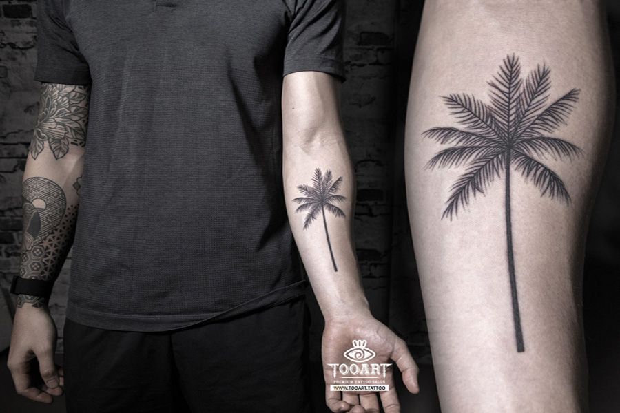 TooArt Tattoo  𝖈𝖔𝖈𝖔𝖓𝖚𝖙 𝖙𝖗𝖊𝖊 Cây dừa mang ý nghĩa bình   Facebook